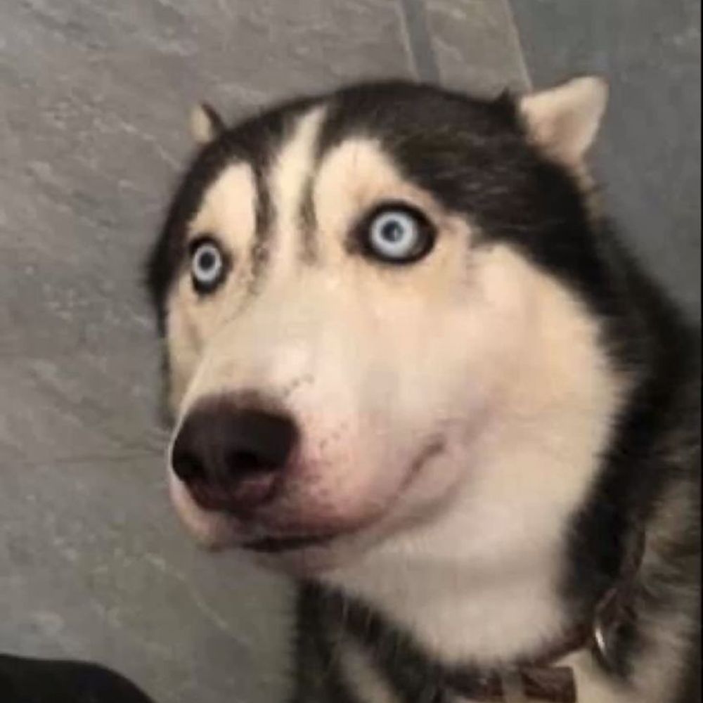 zeko