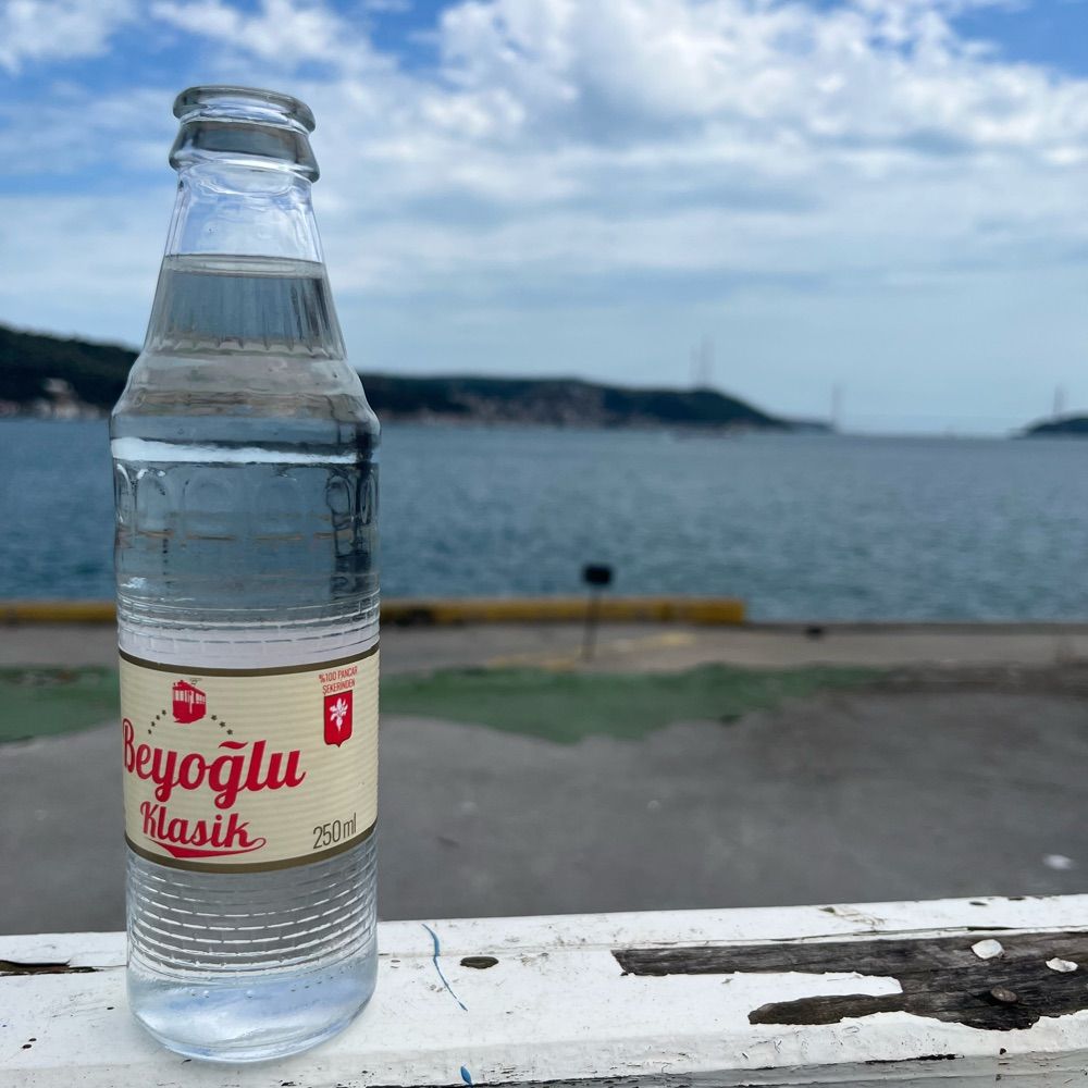 Temettü Notlarım