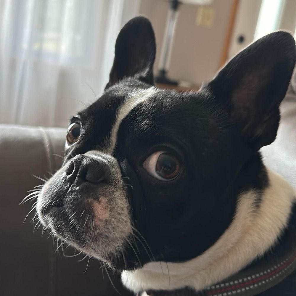 Su.Ze 🐾