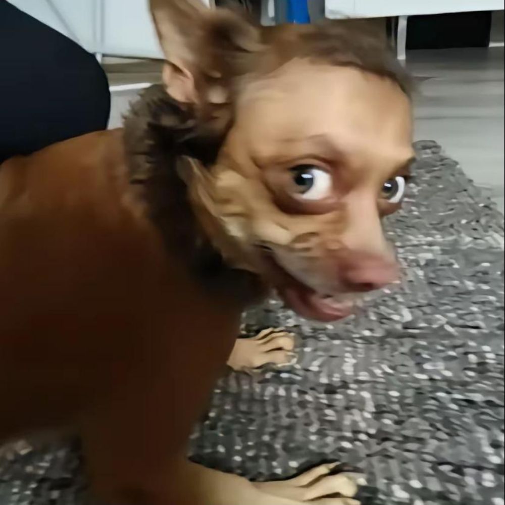 Esse usuário quer o fim da escala 6x1