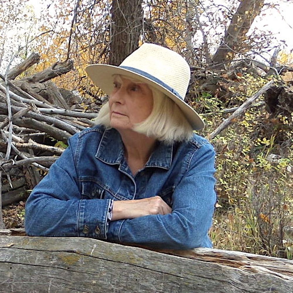 RJ Kollee- Artist/Writer