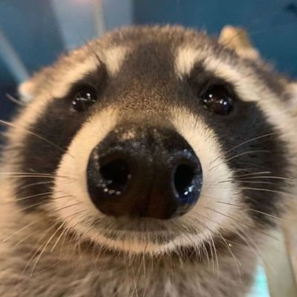 뚱땡이