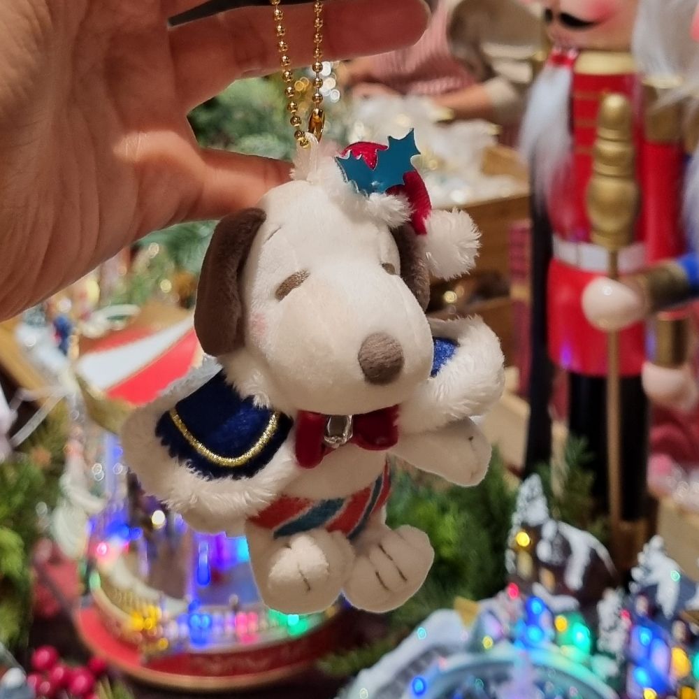 스눕(snoop)