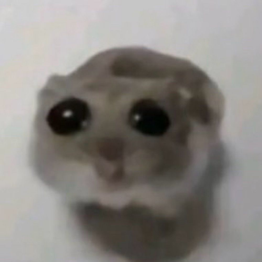 𝓇𝒶𝓉𝒾𝓃𝒽𝒶 𝒶 𝓂𝒾𝓁𝒶𝓃𝑒𝓈𝒶 