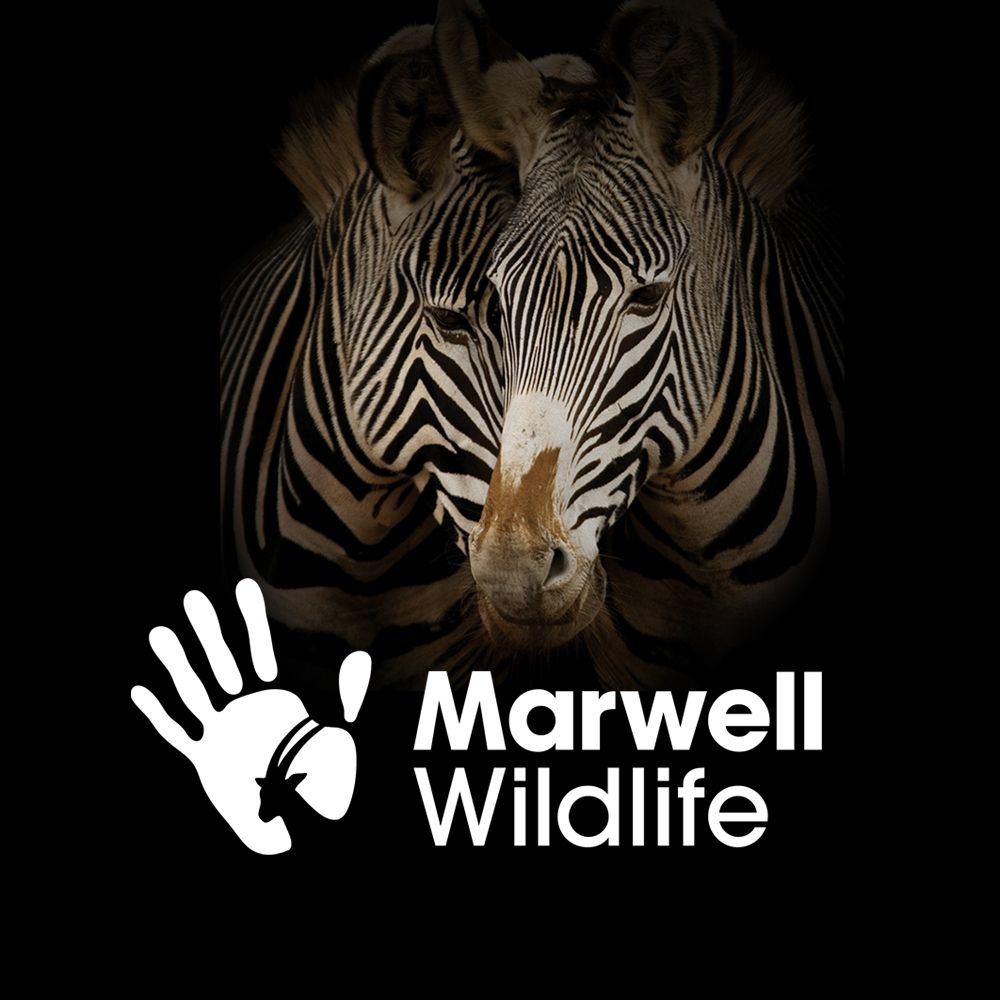 Marwell Zoo