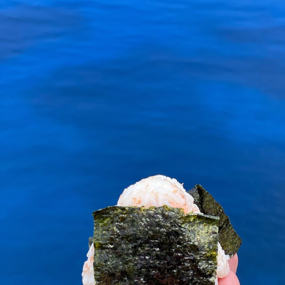 えむとら