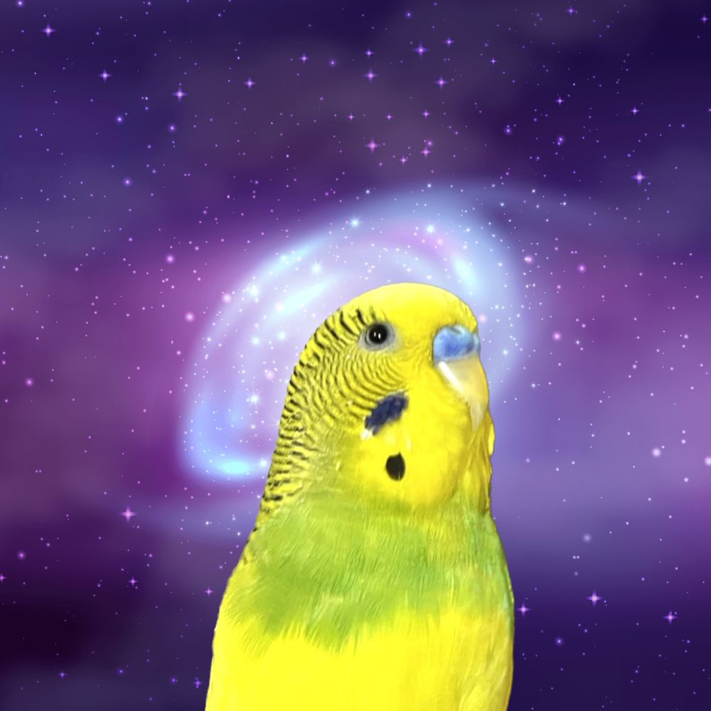 回家ㄉ帳號