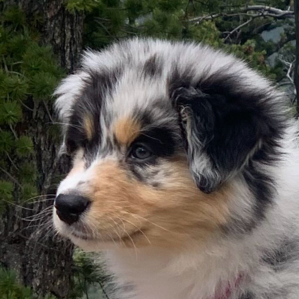 GP in Colorado