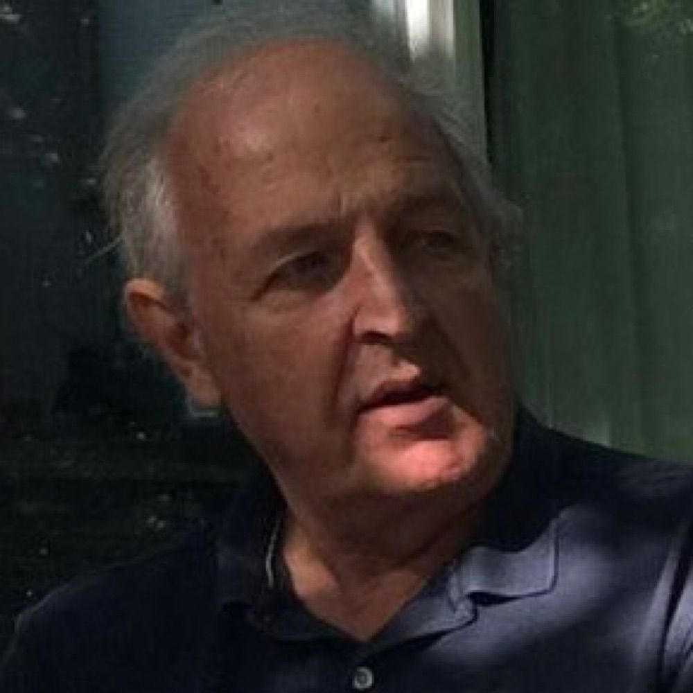 Wim van Engelenburg