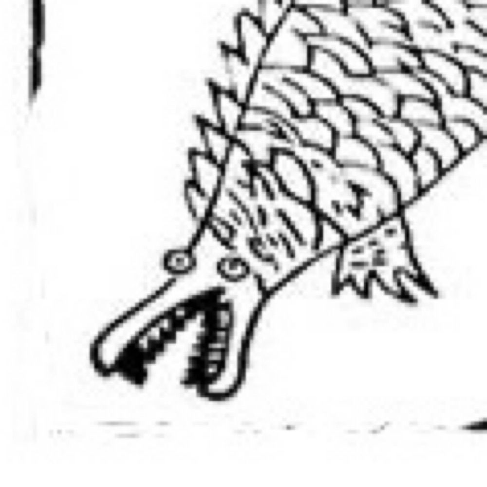 LYCOWARRIOR