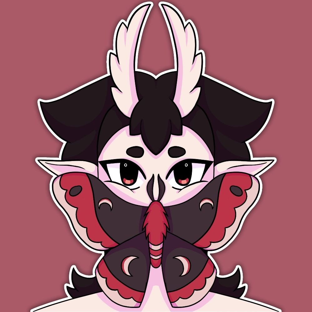 Moth 🖤