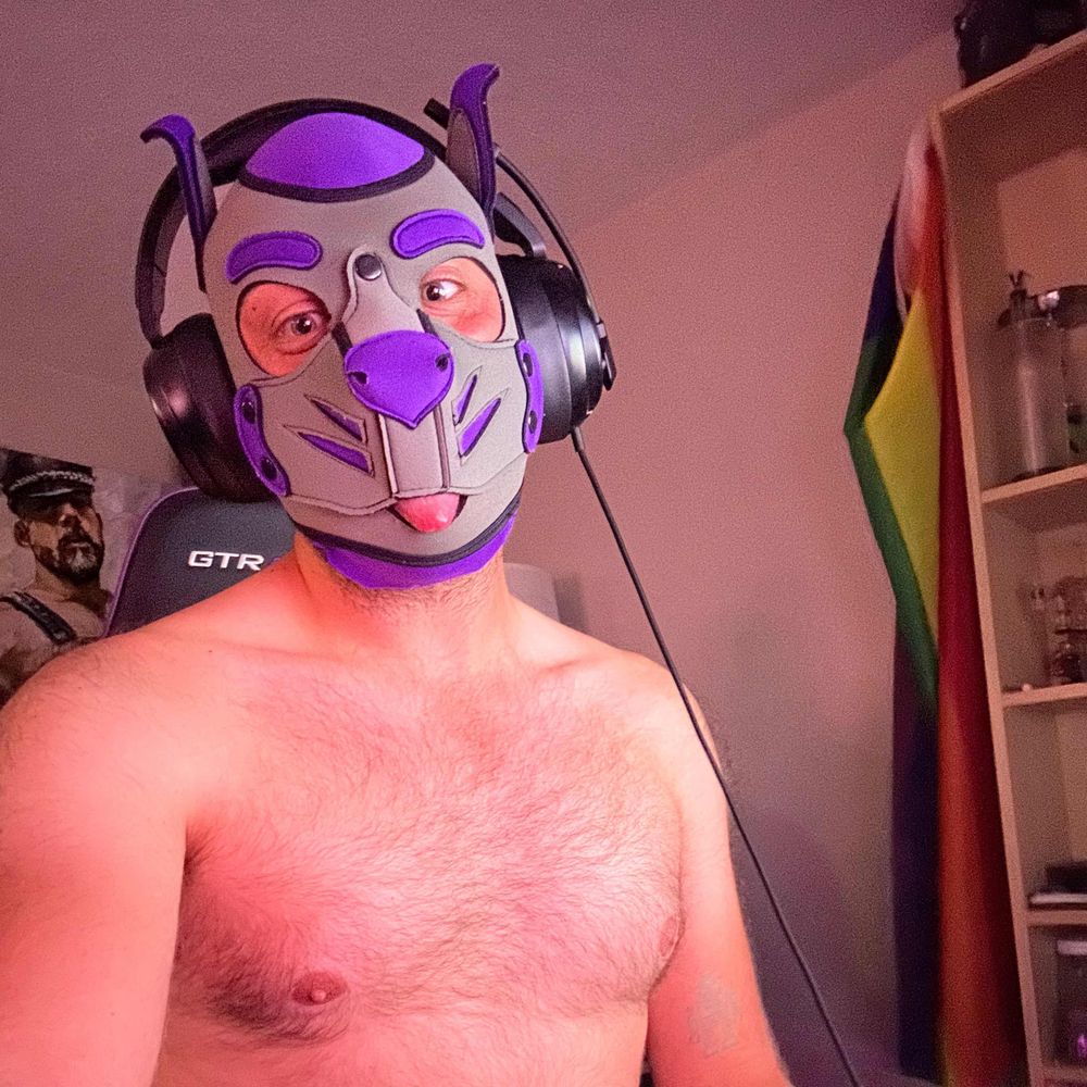 NimbusPupPDX