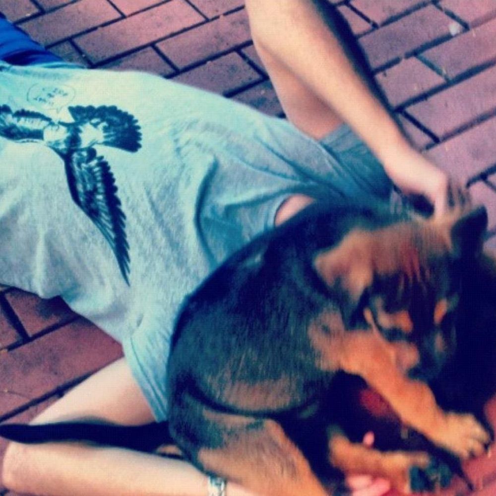 Nick