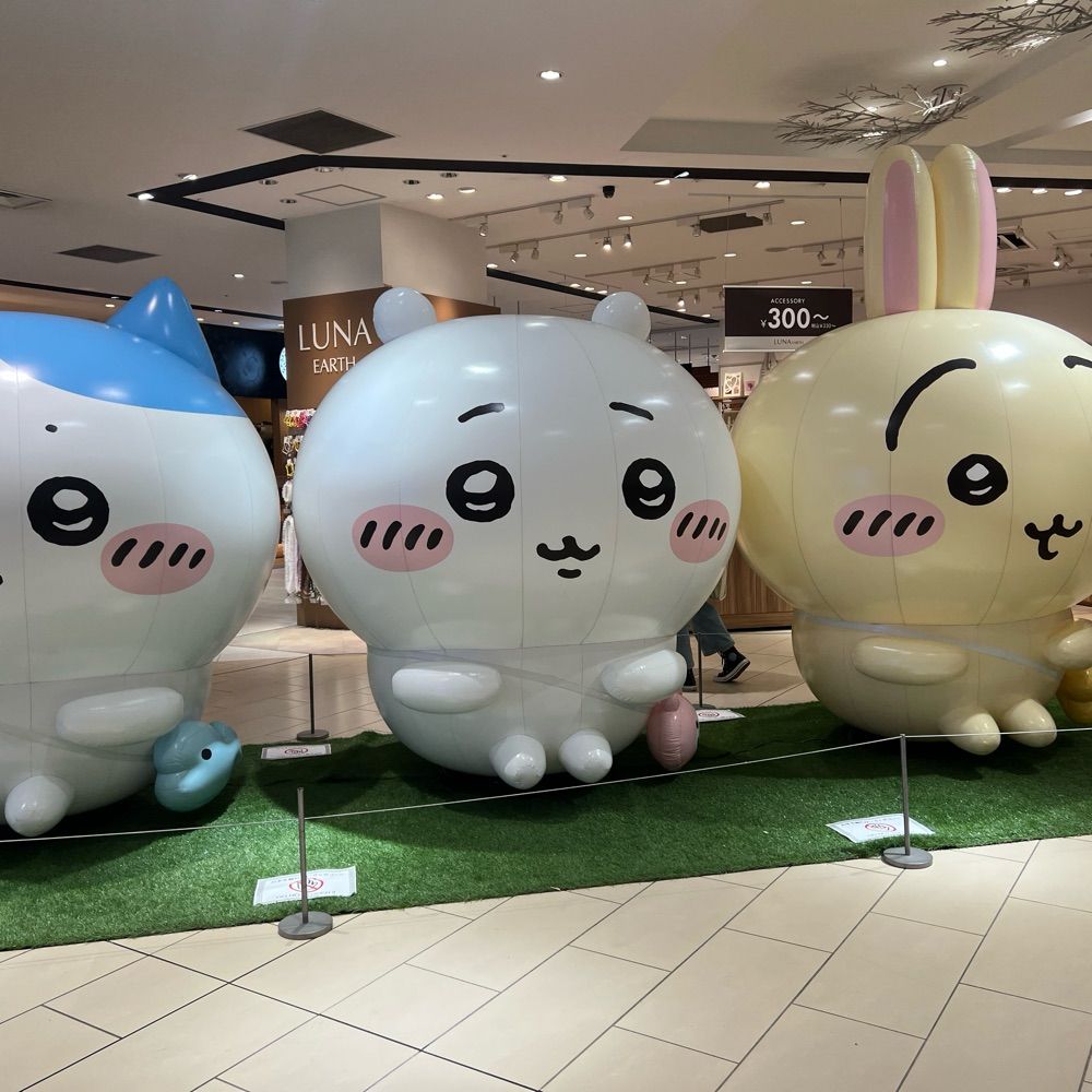 ぽぽ