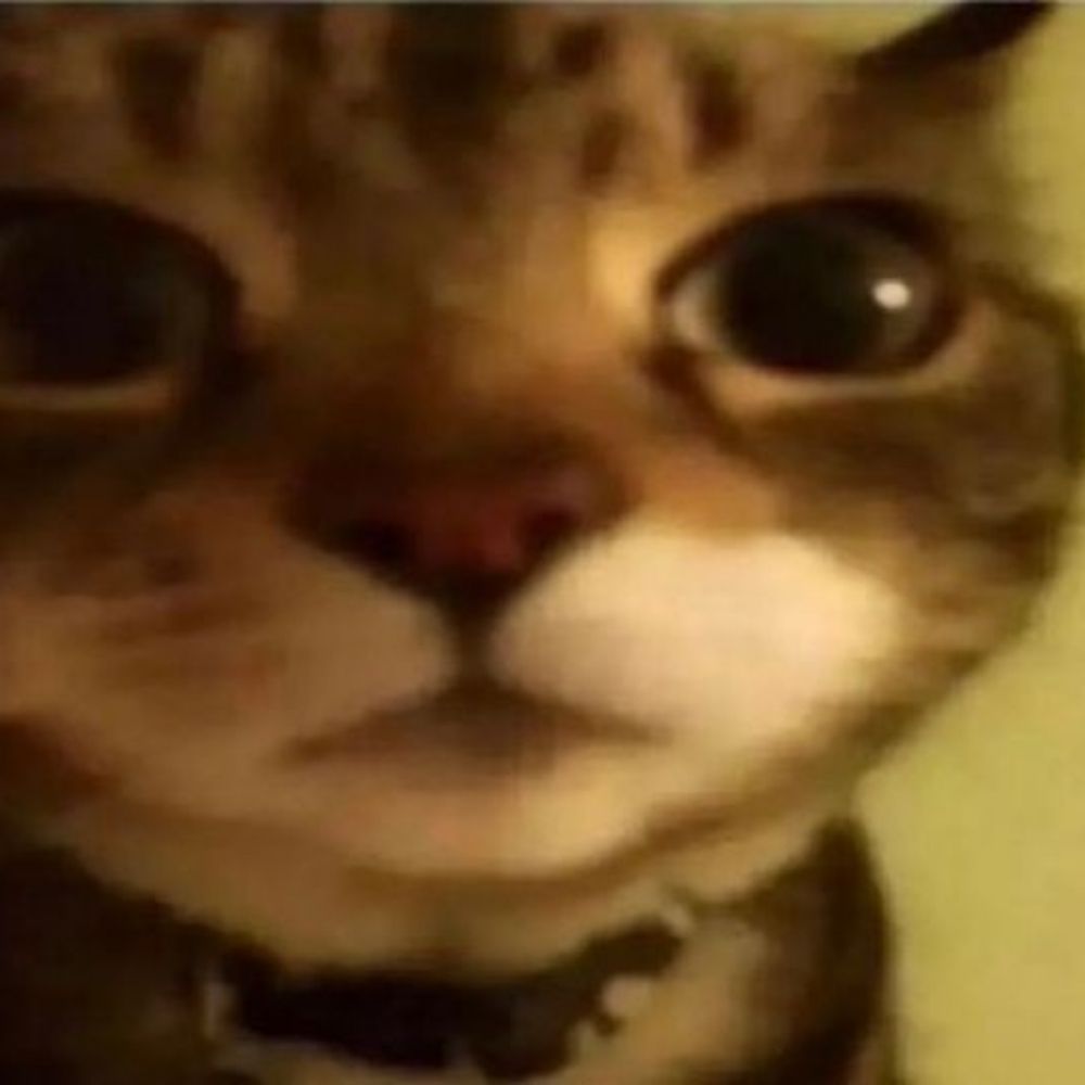 dudao poggers da silva robóx atá
