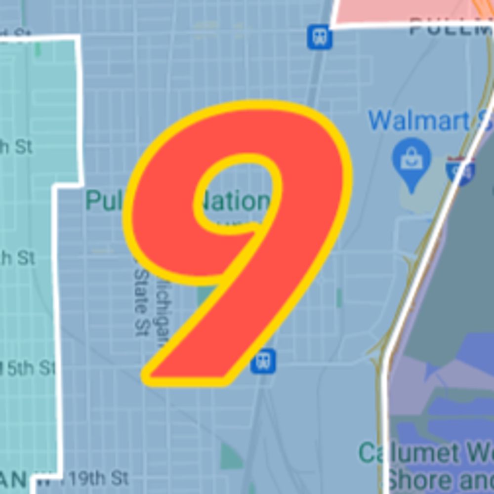 Ninth Ward Chicago