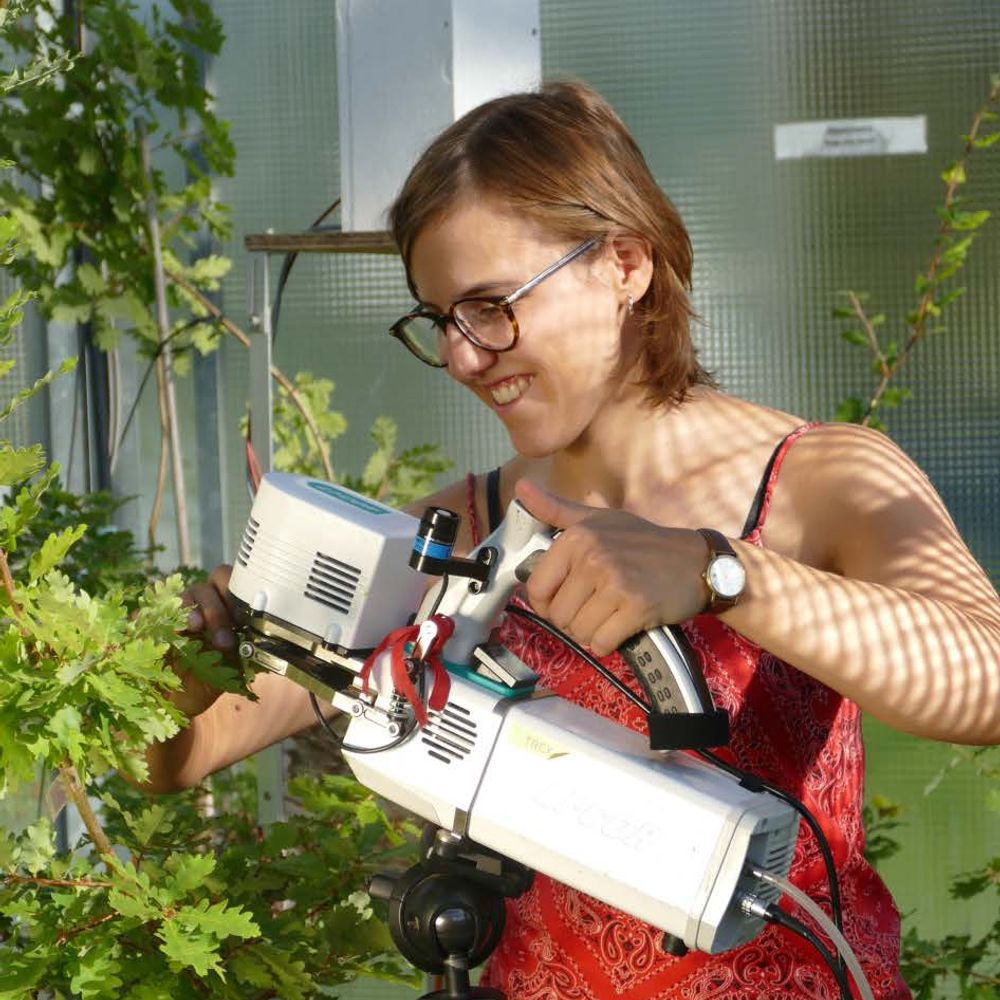 Janisse Deluigi