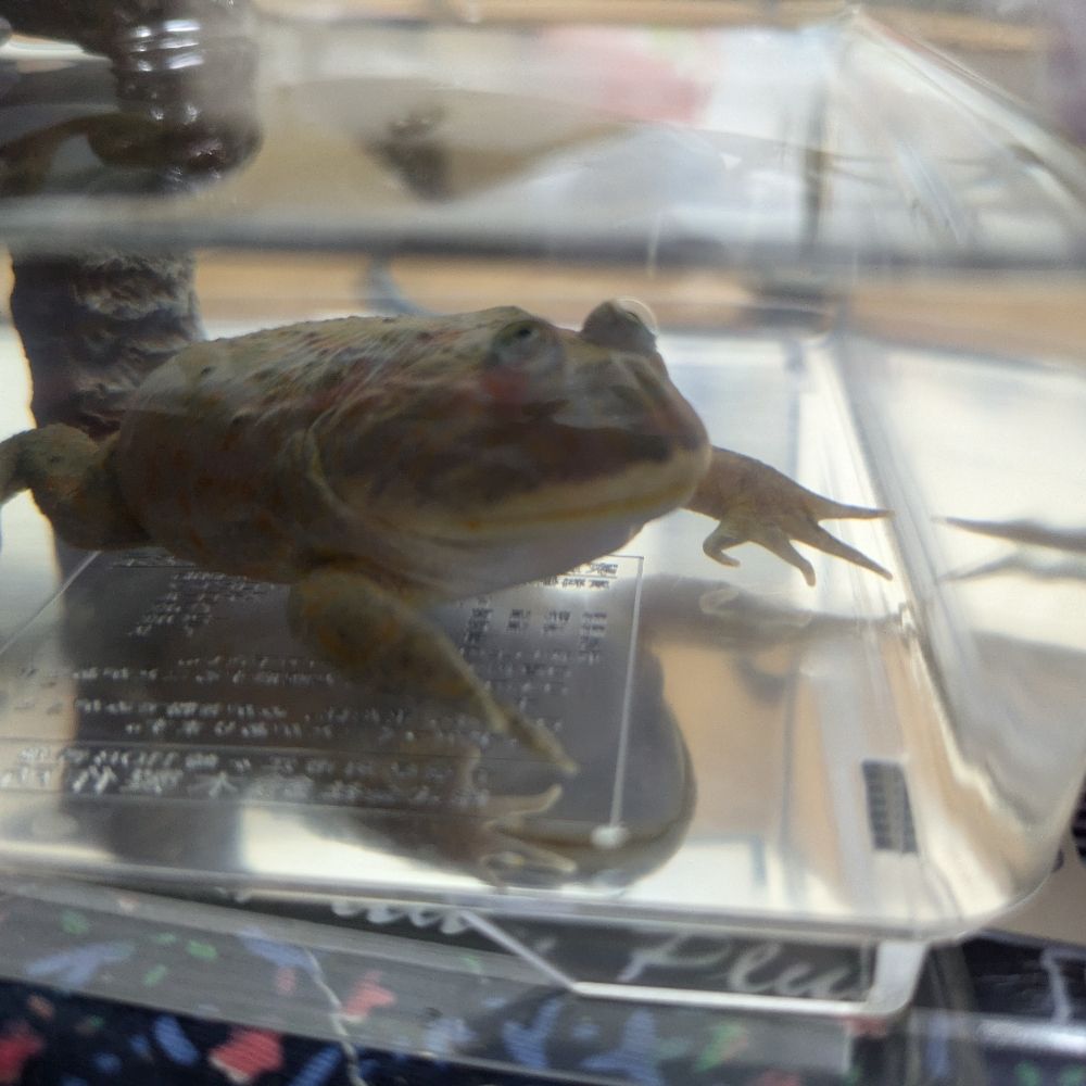 サーモト