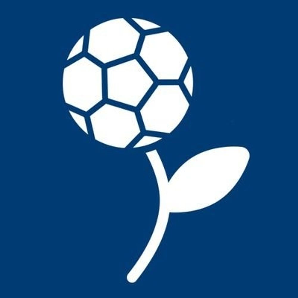 Profile picture trauerundfussball.bsky.social