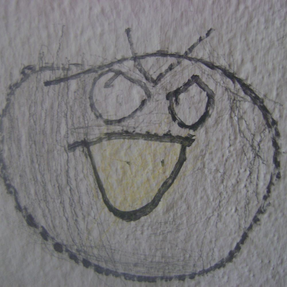 piratasdelcaribe.xyz profile picture