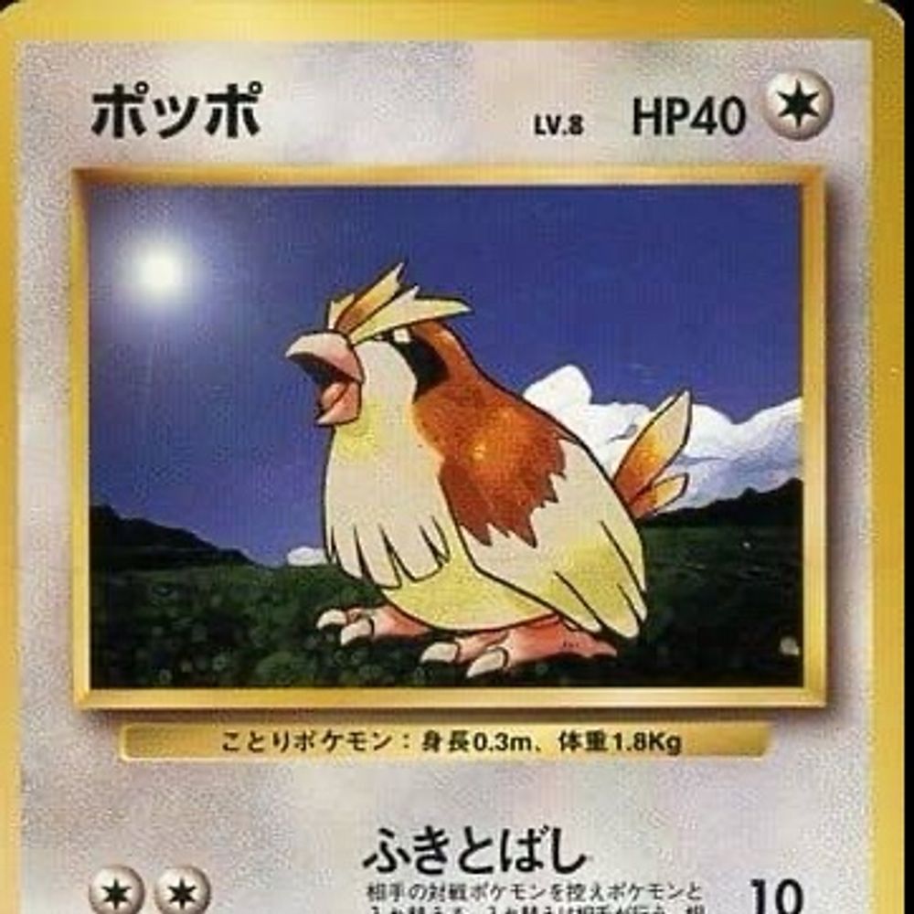 ぽっぽ