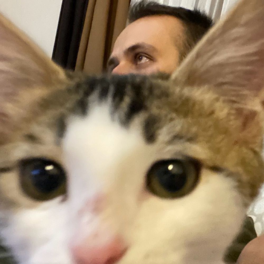 richigo