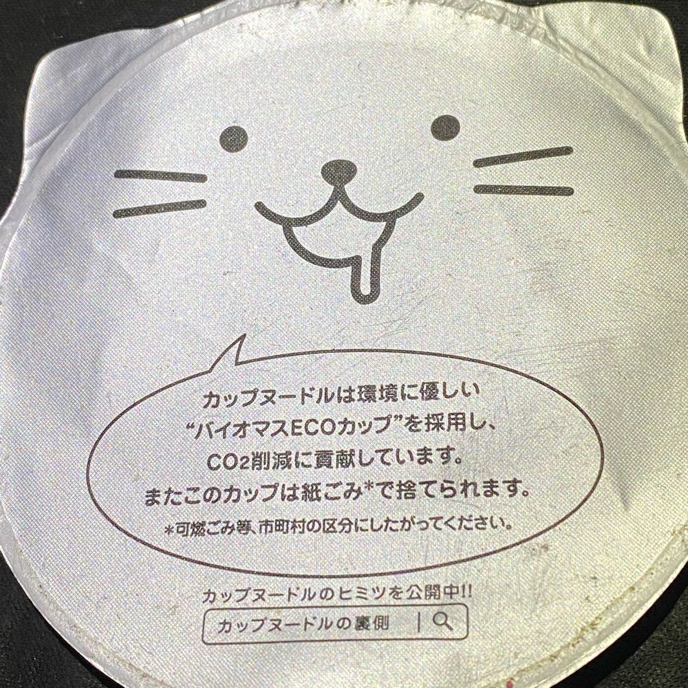 Ahoy!ねこ🏴‍☠️⛄️