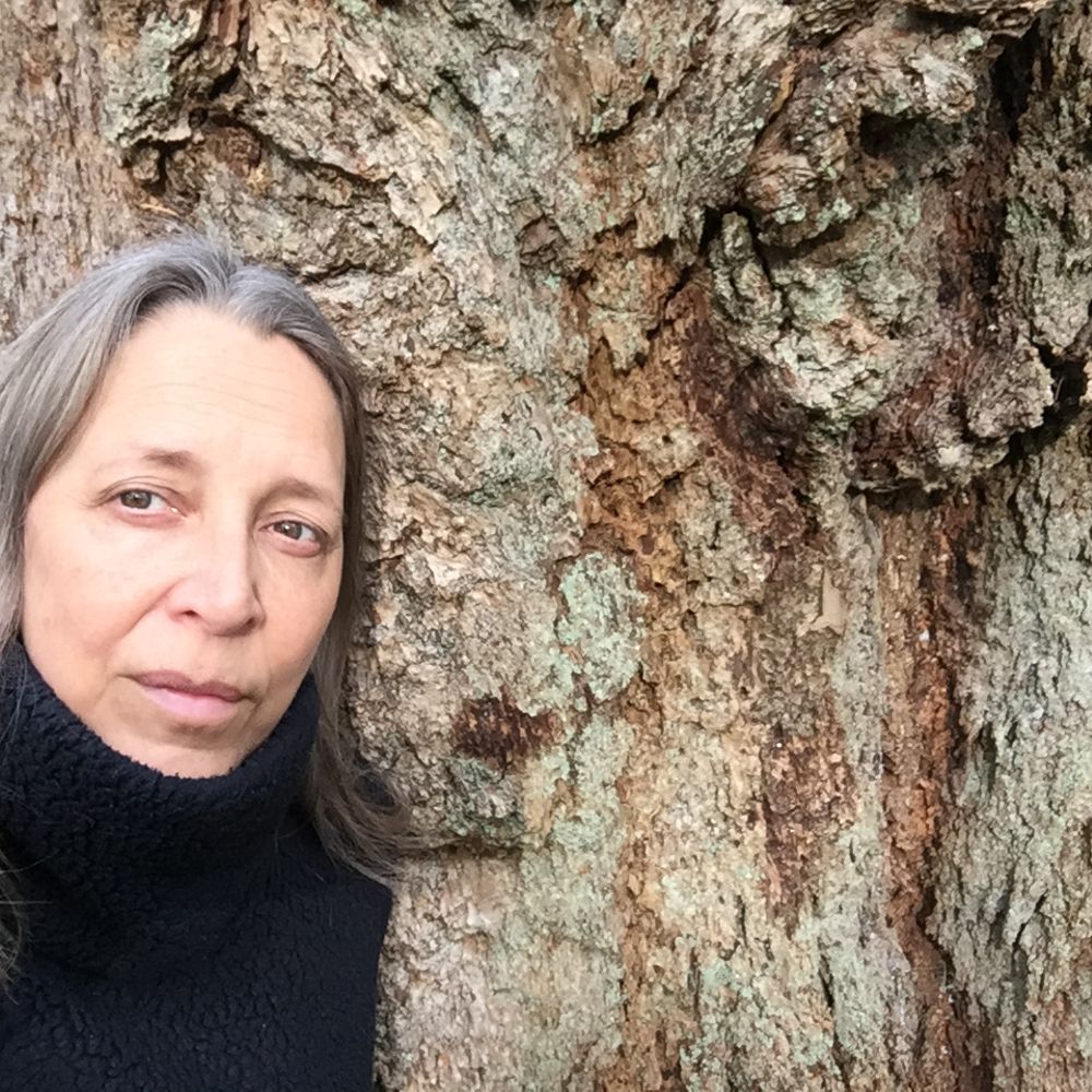 Angela McIntyre