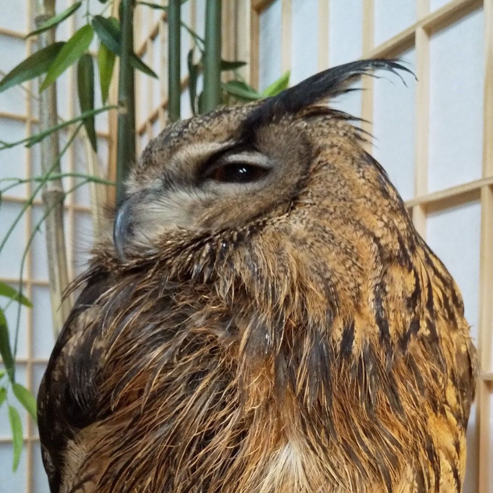 しもんず