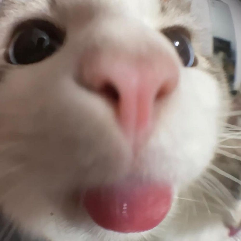 Ju