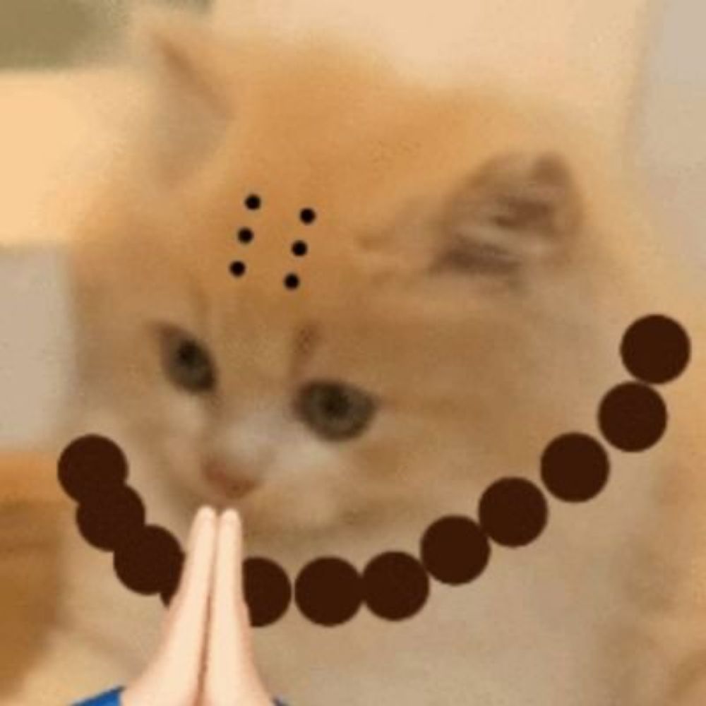 (♡⌂♡)麻袋套走