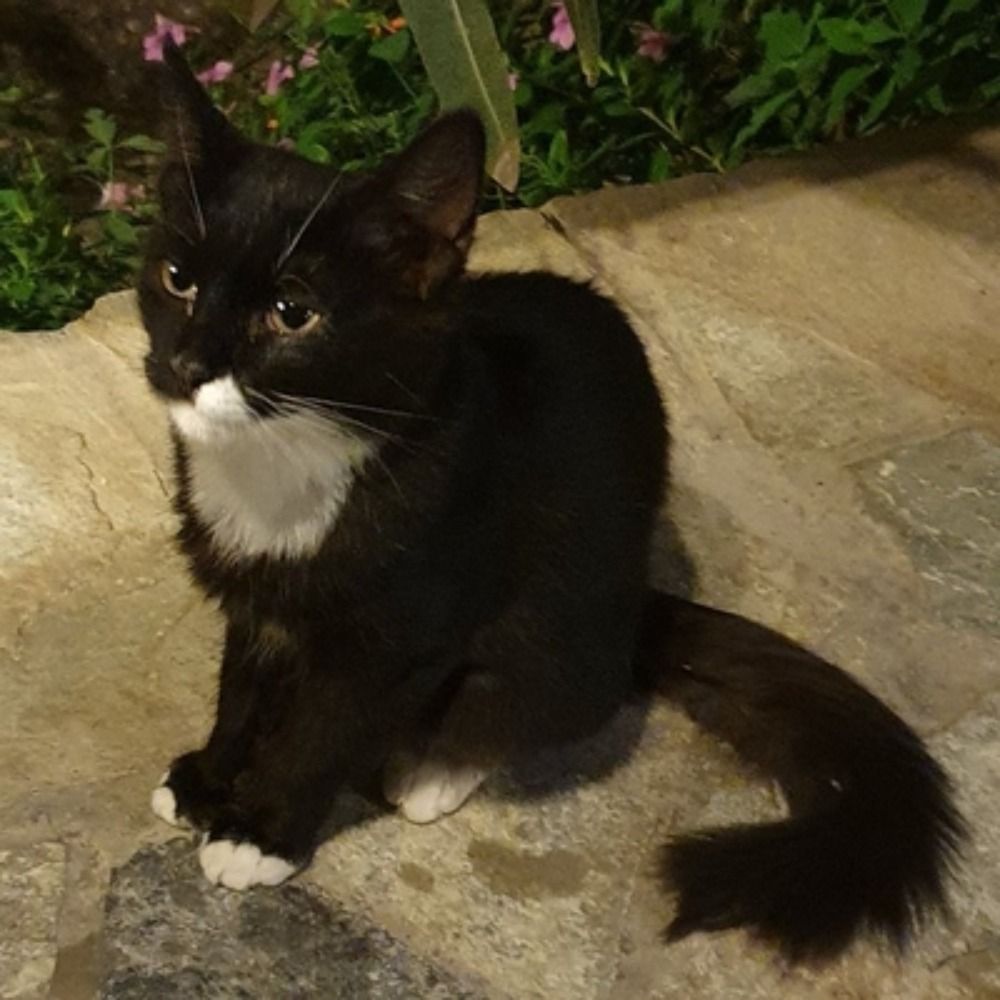 Bierkater 🇮🇱🇺🇦