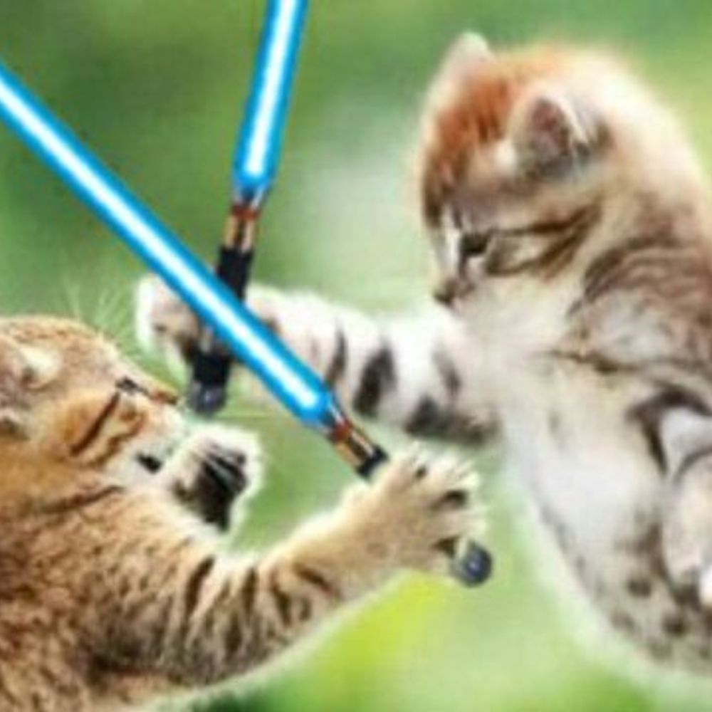 Jedi Kara Jade🐱🐶👩‍🎤!