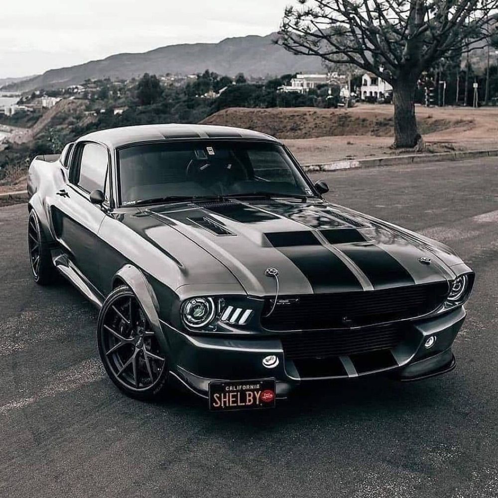 Auto Aesthetic