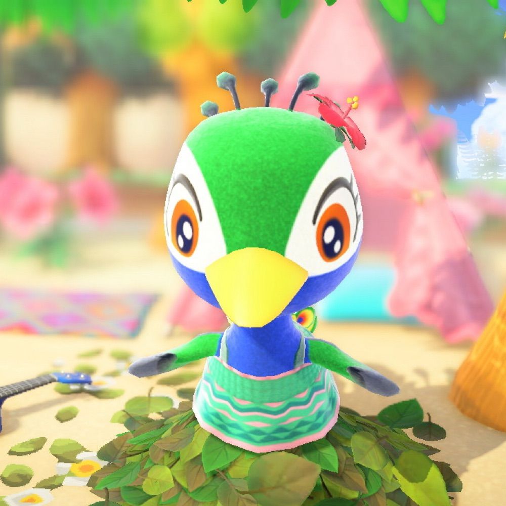 🐬🍃