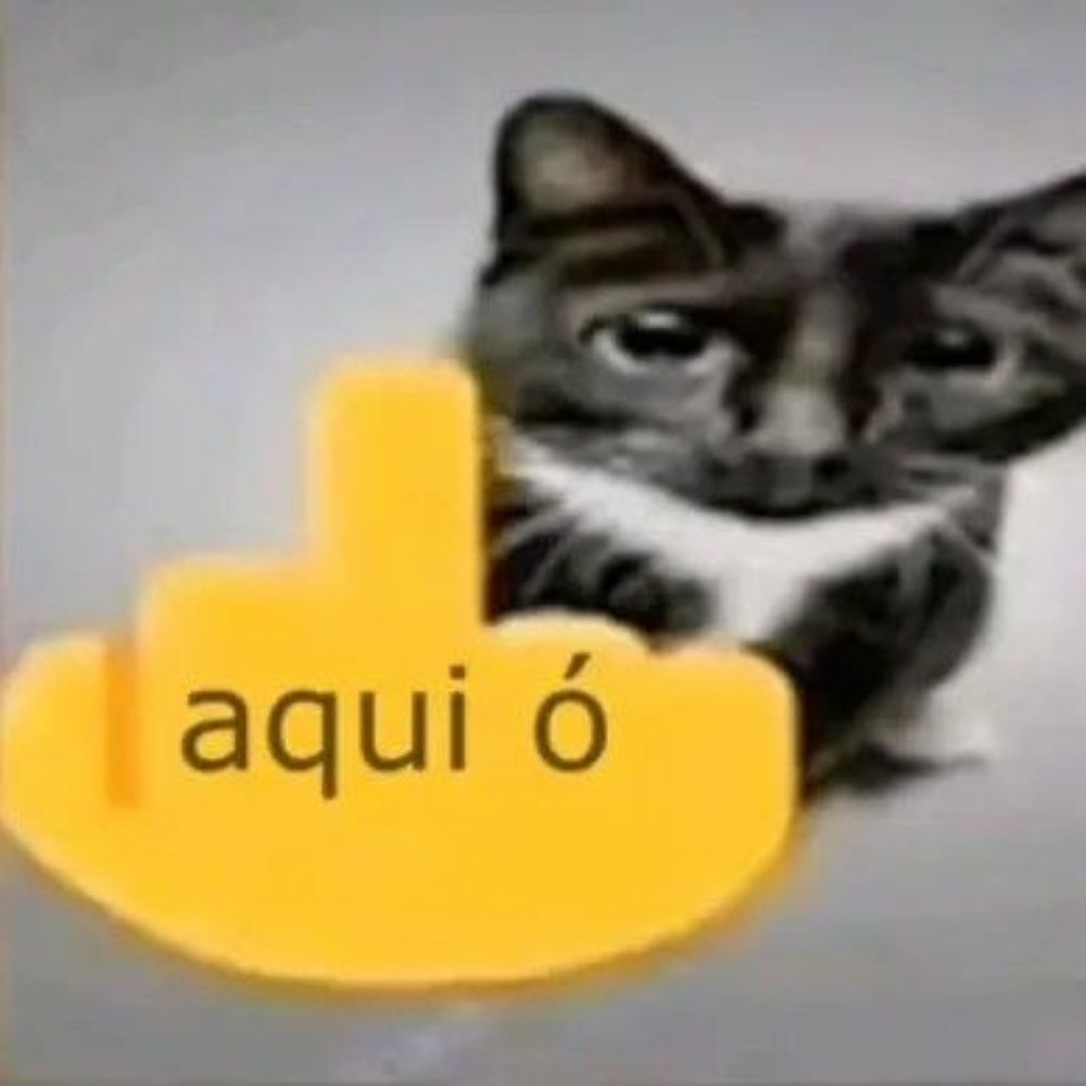 dos ratos e fofos