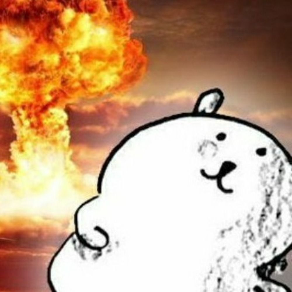 잘자쿵냐