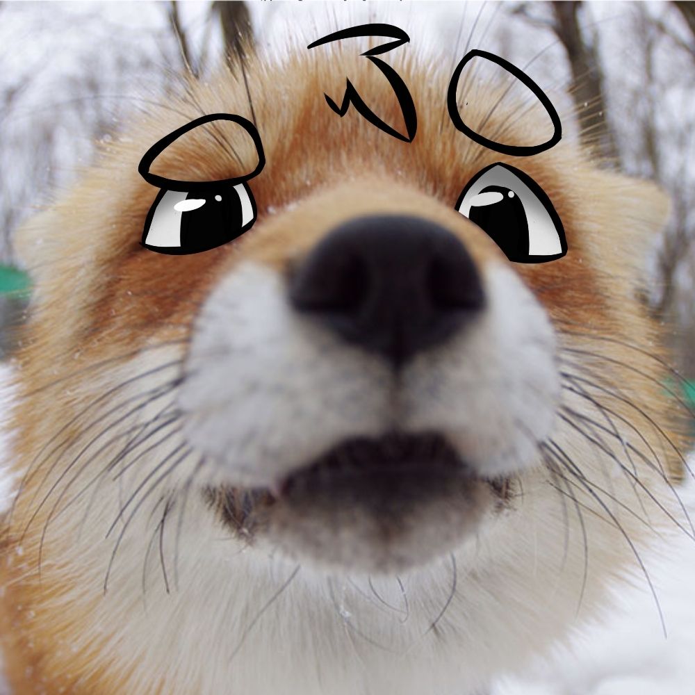 Elweonfurro