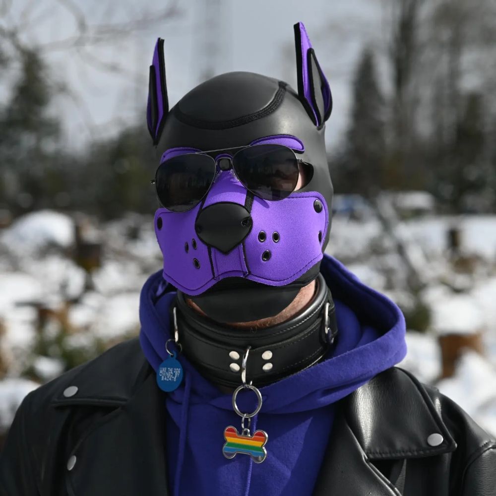 Luke The Dog