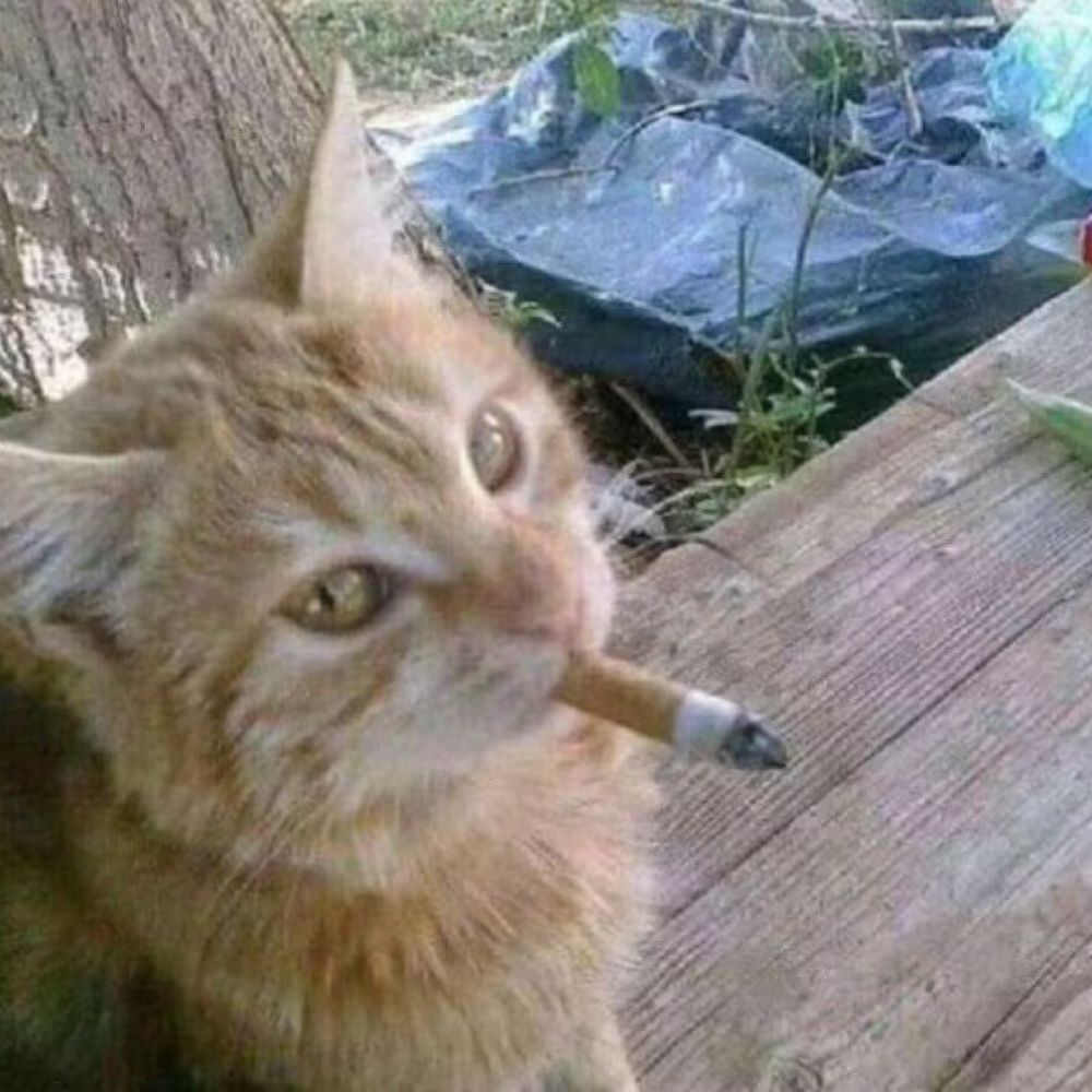 世界最后一天