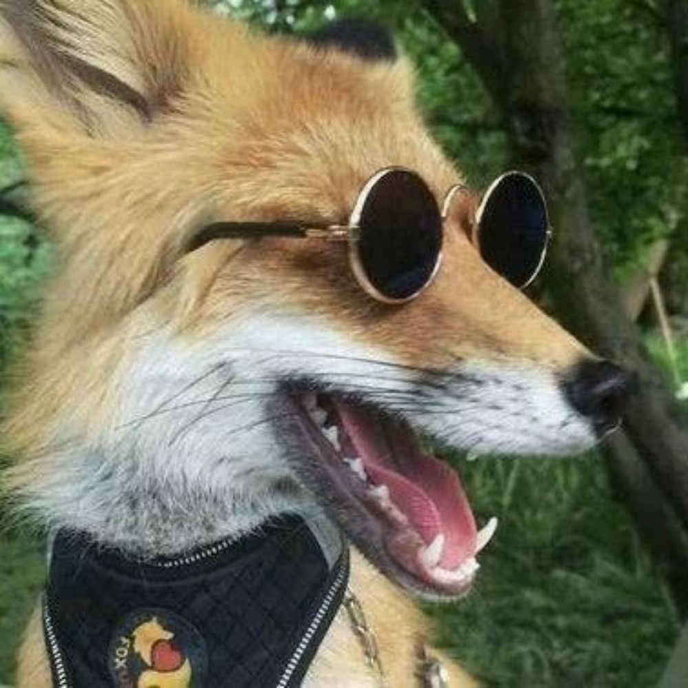 𝘵𝘰𝘮𝘮𝘪𝘦 .ᐟ ֹ ₊ ꒱