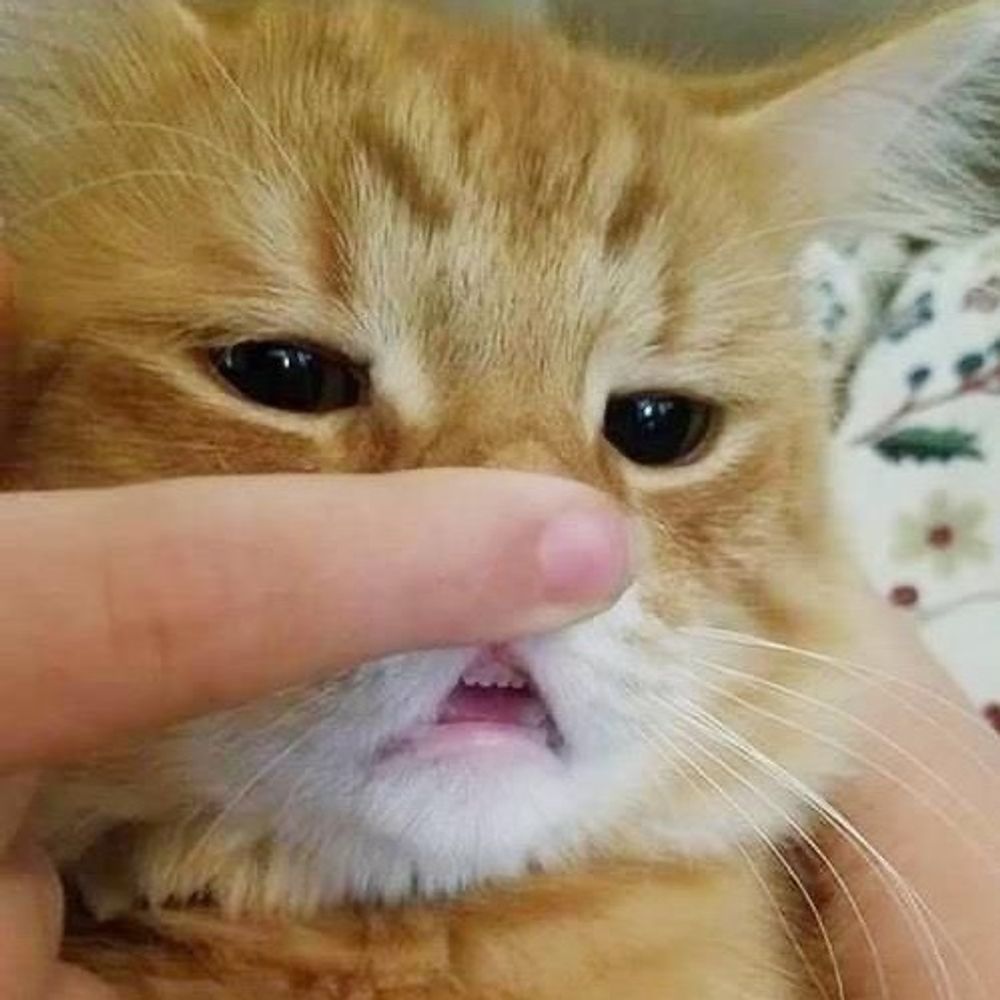 🥹