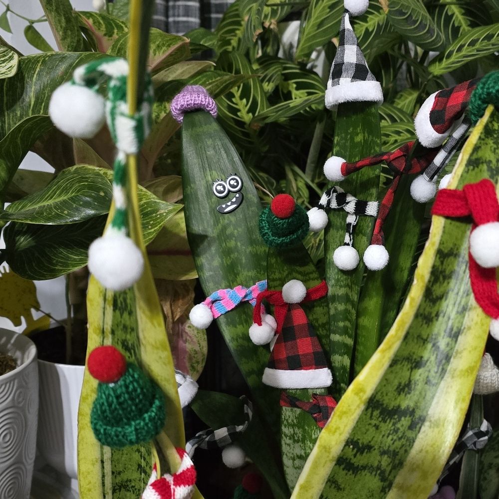 Plush Plants