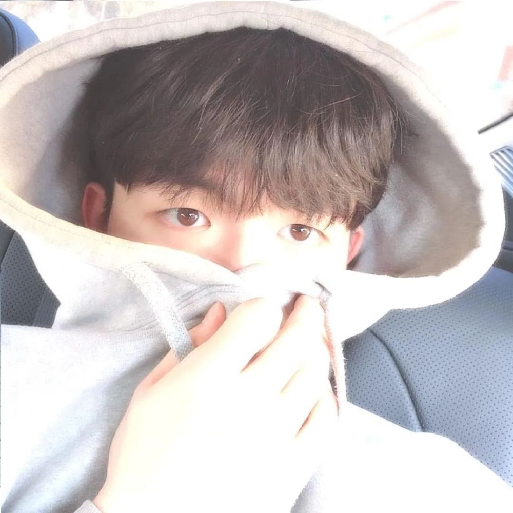 레몬(鎭)진