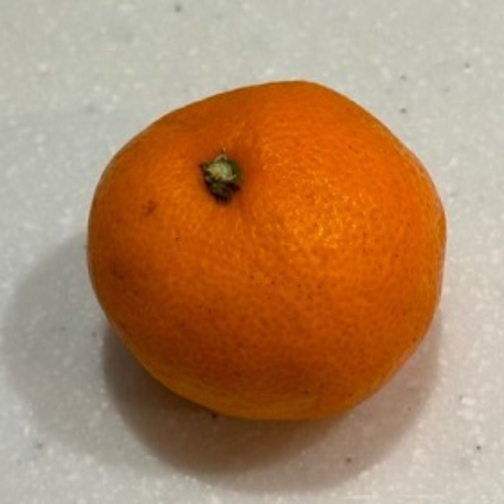 冬村蜜柑