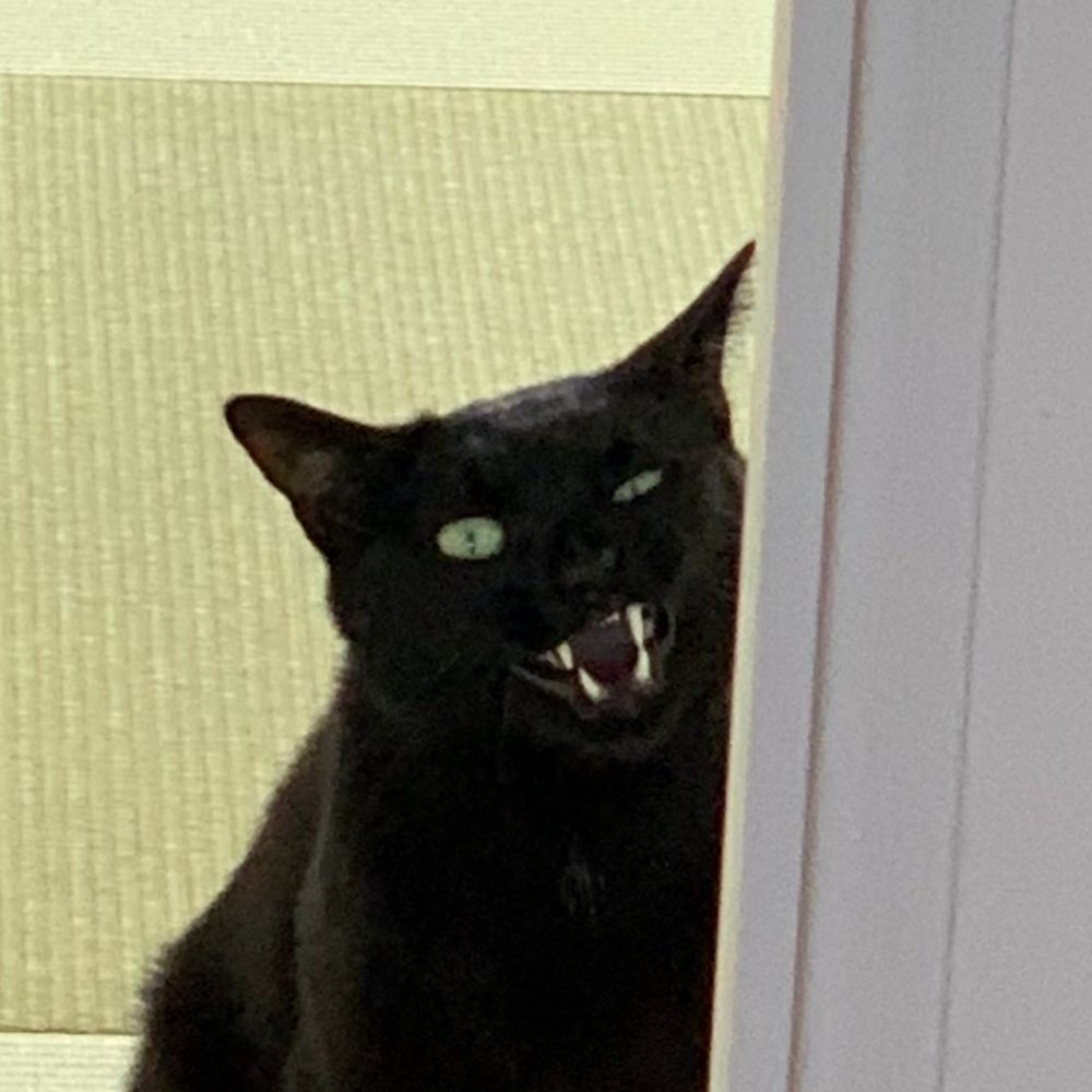 おこめつぶ