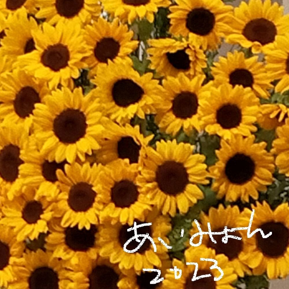 ヒマワリユミコ