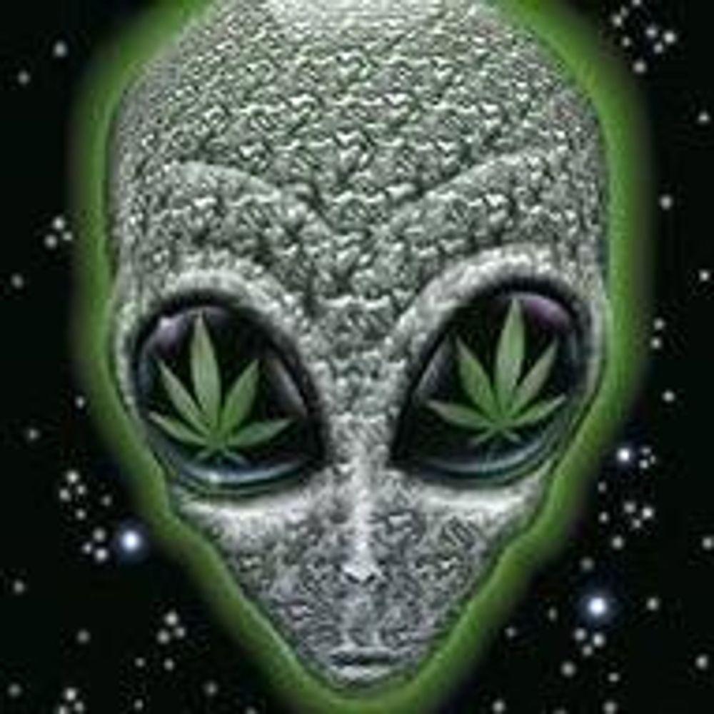 Joe Green