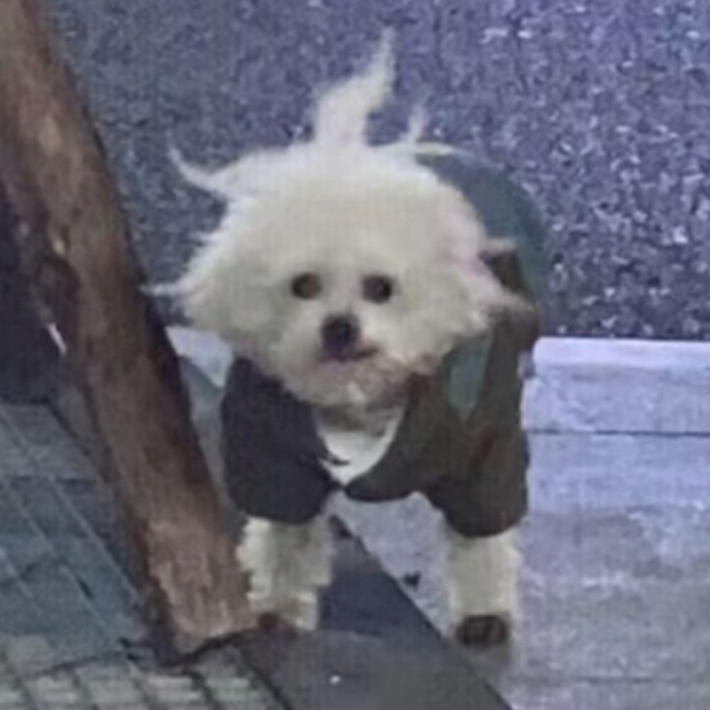 eno