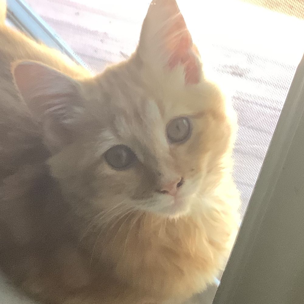 Marble!